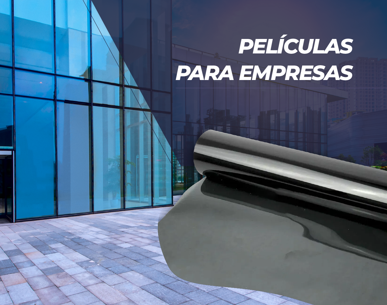 Sem título-2_Prancheta 1 cópia